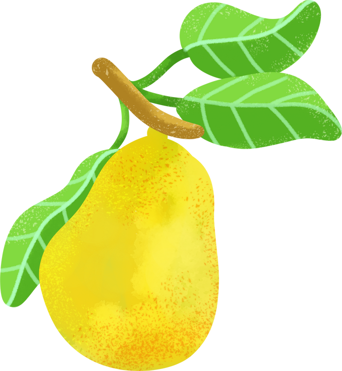 Pear Fruit with Leaves